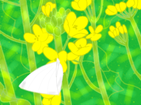 菜の花と蝶々 by ヤッホー ( PaintBBS NEO ) 