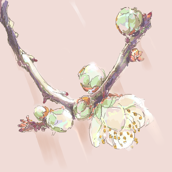 梅はクリーム色が好き by scrambQ ( PaintBBS NEO ) 