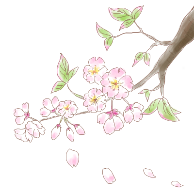 山桜   by やぢま 400 x 400
