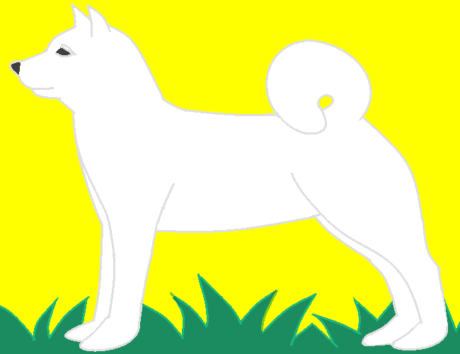 北海道犬 by ヤッホー