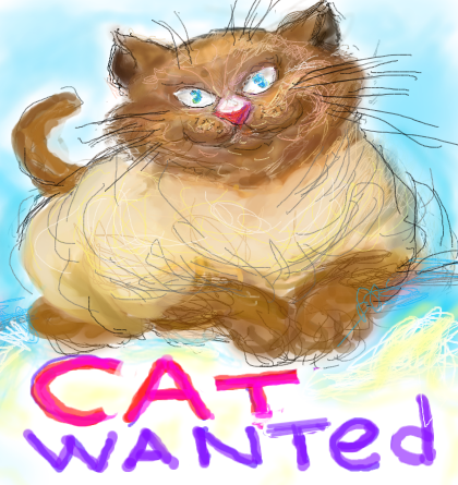 CAT WANTED!!! by Re: DREAM