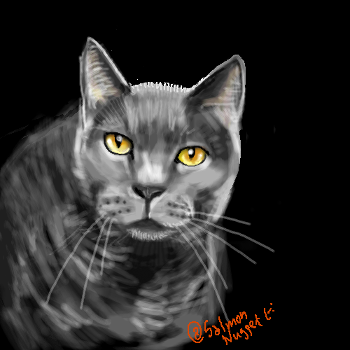 Test 1 - cat Illustration/SalmonNugget 2021/09/28 22:20