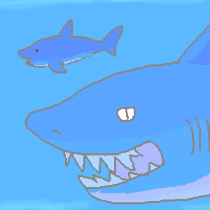 サメ by ジロー