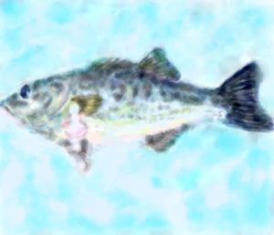 「お魚チャレンジ」イラスト/月華 (じっくり) 08/08 22:29