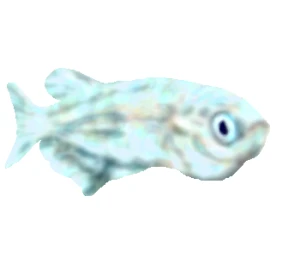 「Re: お魚チャレンジ」 イラスト/月華 じっくりお絵かき掲示板