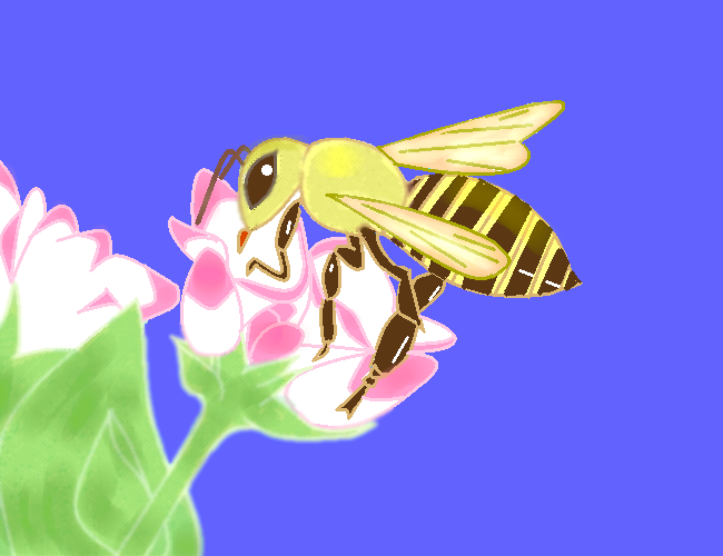ミツバチ by ヤッホー