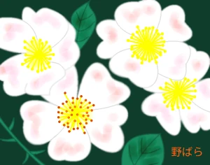 Re: 無題 by ヤッホー