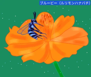 Re: 無題 by ヤッホー