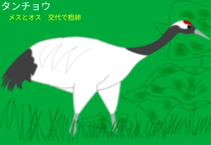 Re: 無題 by ヤッホー
