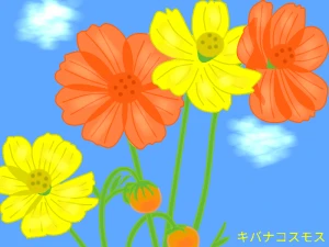 Re: 無題 by ヤッホー
