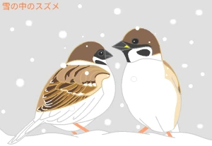 Re: 無題 by ヤッホー