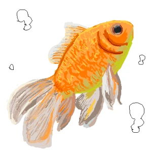 「金魚」イラスト/ヒドラ (テーマフリー) 08/14 17:27