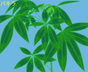 テーマフリーお絵かき掲示板