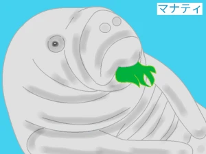 「Re: 無題」イラスト/ヤッホー (テーマフリー) 11/28 10:19