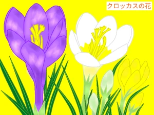 「Re: 無題」by ヤッホー 03/23 9:56 「Re: 無題」by ヤッホー 03/23 9:56