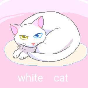 白猫 by ジロー