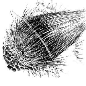 Re: ん、 by   ぬまくら