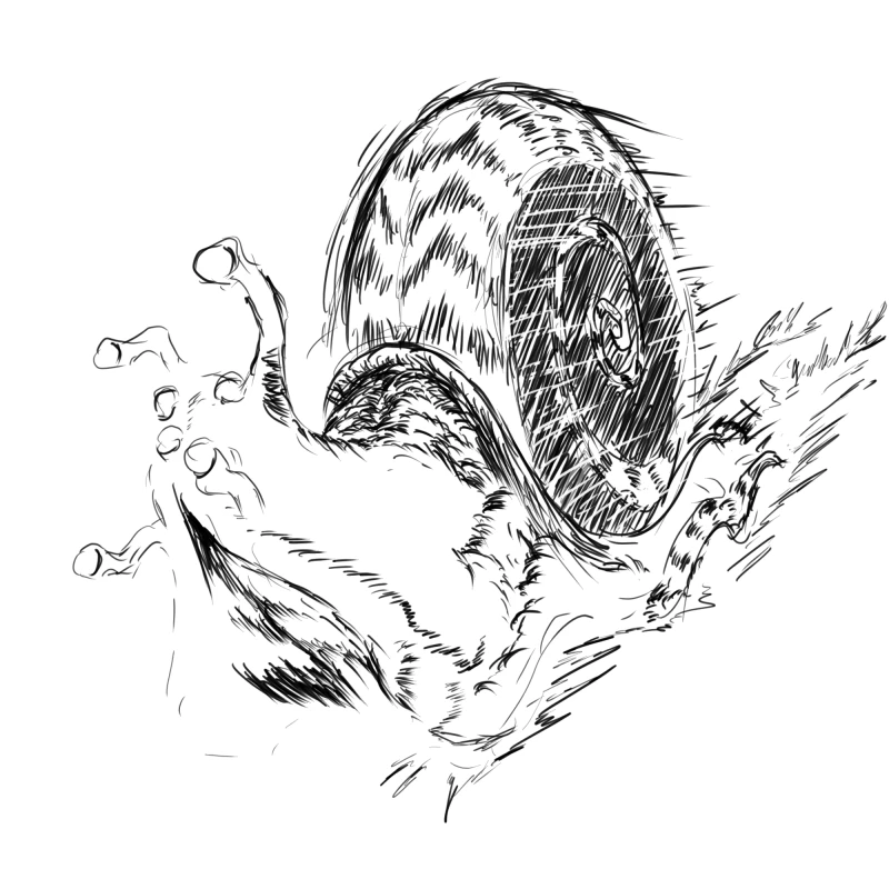 無題 by   ぬまくら