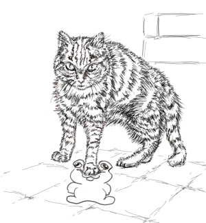 練習用お絵かき掲示板