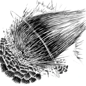 「Re: ん、」イラスト/  ぬまくら (練習用) 01/01 17:54