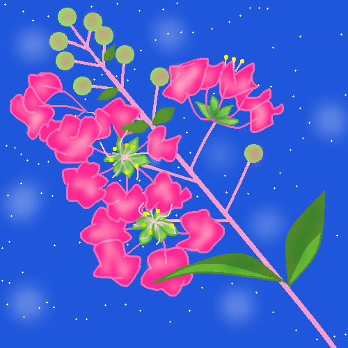 さるすべりの花 by ヤッホー