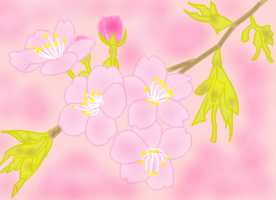 桜 by ヤッホー