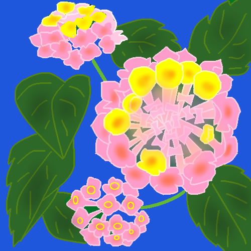 ランタナの花 by ヤッホー