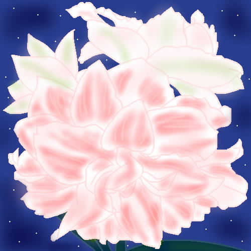 アマリリスの花 by ヤッホー ( しぃペインター ) 