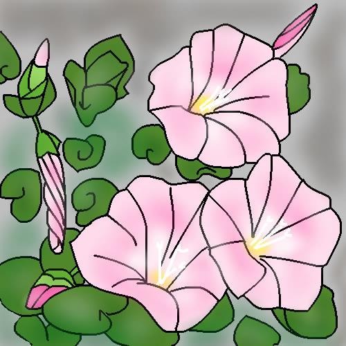 ハマヒルガオの花 by ヤッホー