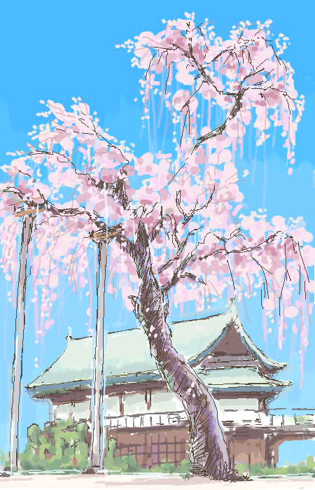 「しだれ桜」イラスト/scramb92403/28 0:27