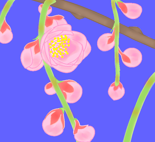 枝垂れ梅（しだれうめ）の花 by ヤッホー