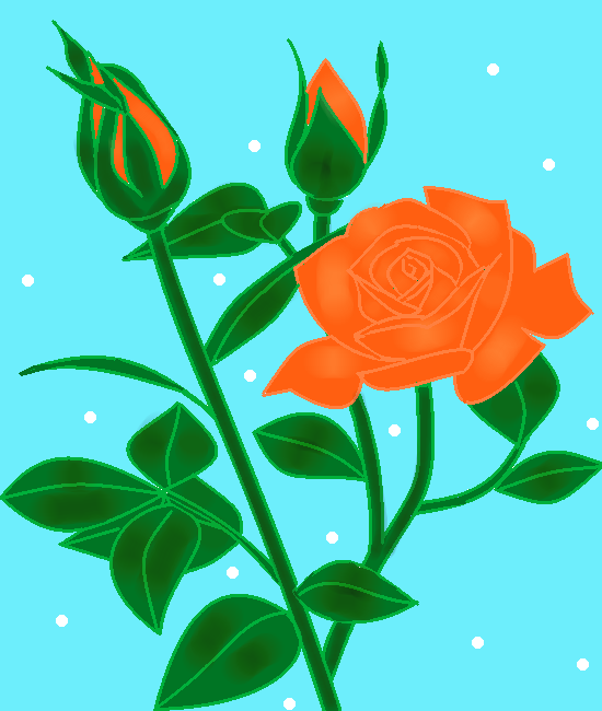 オレンジの薔薇 by ヤッホー