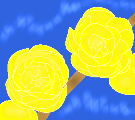 ロウバイの花 by ヤッホー