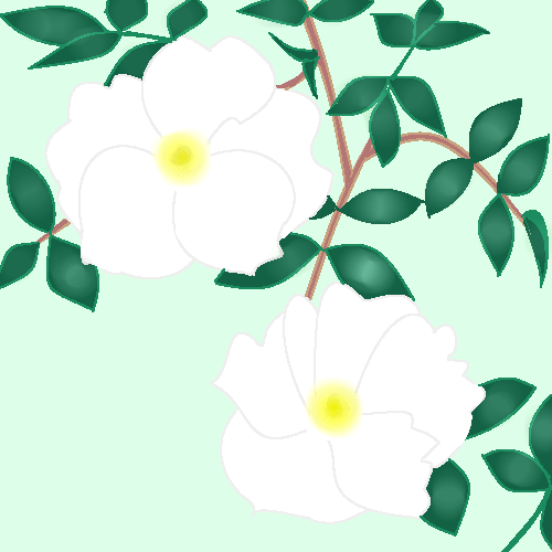 一重咲きのバラ by ヤッホー