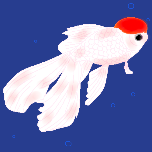 白い金魚 by ヤッホー 