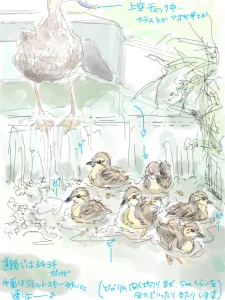 Re: 中の人・おなじシリーズ by Q 25/07/08