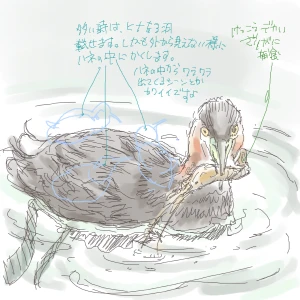 「Re: 中の人・おなじシリーズ」 イラスト/Q イベント掲示板